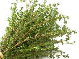 100PCS Thyme seeds herbal Aromatic nutrition tree green fast growing medical US 
