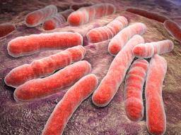Is tuberculosis an autoimmune disease?