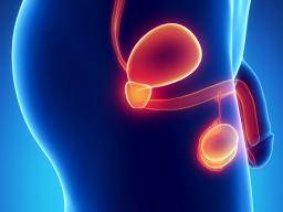 Urinary Tract Infection – London Urology Specialists