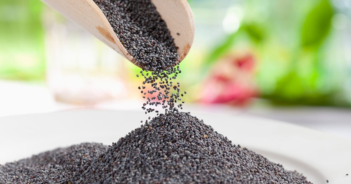 Can you fail a drug test after eating poppy seeds?