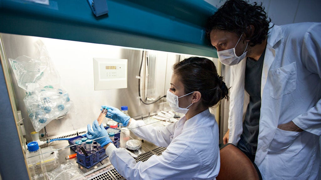 Coronavirus (COVID19) vaccine Options, safety, and how to get it