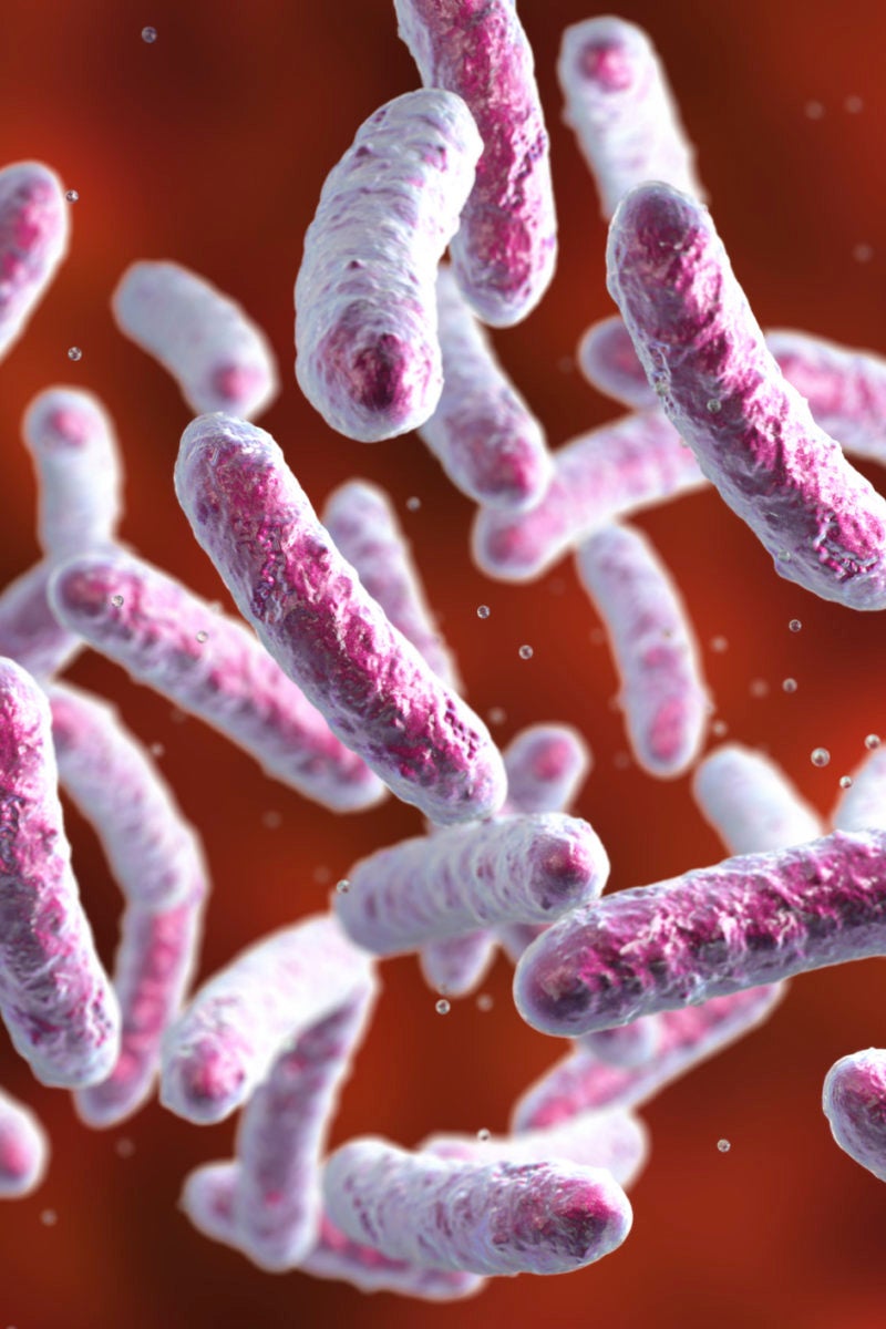 gut-microbes-could-be-key-to-treating-ulcerative-colitis