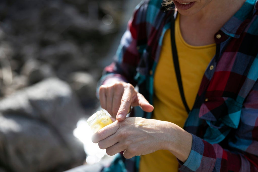 Scientists find promising new treatment for Lyme Disease