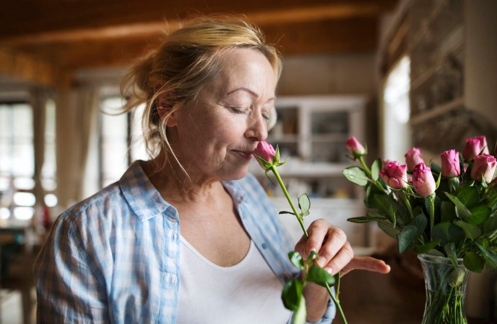 Smell changes memory processing and could treat trauma