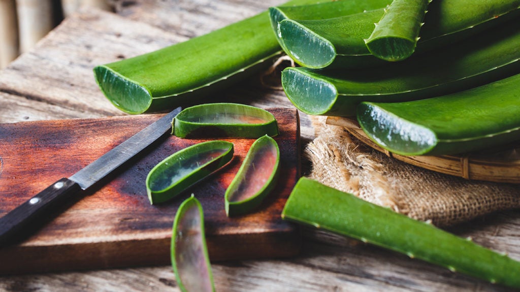 Aloe vera 9 health benefits