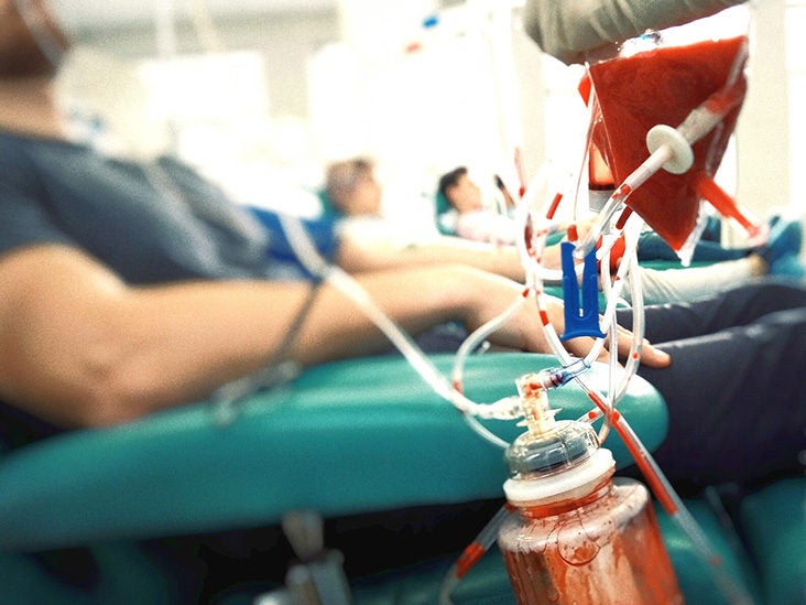 BLOOD PLASMA DONATION SIMPLIFIED: HOW IT WORKS, REQUIREMENTS, USES