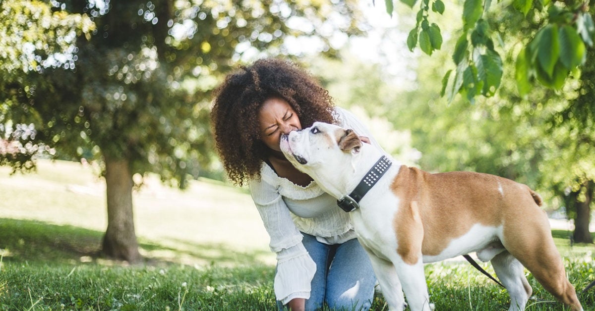 Dogs Will Try To Rescue Their Owners If They Can