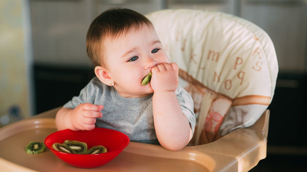 Essentials for Making Baby Food - Mindful Family Medicine