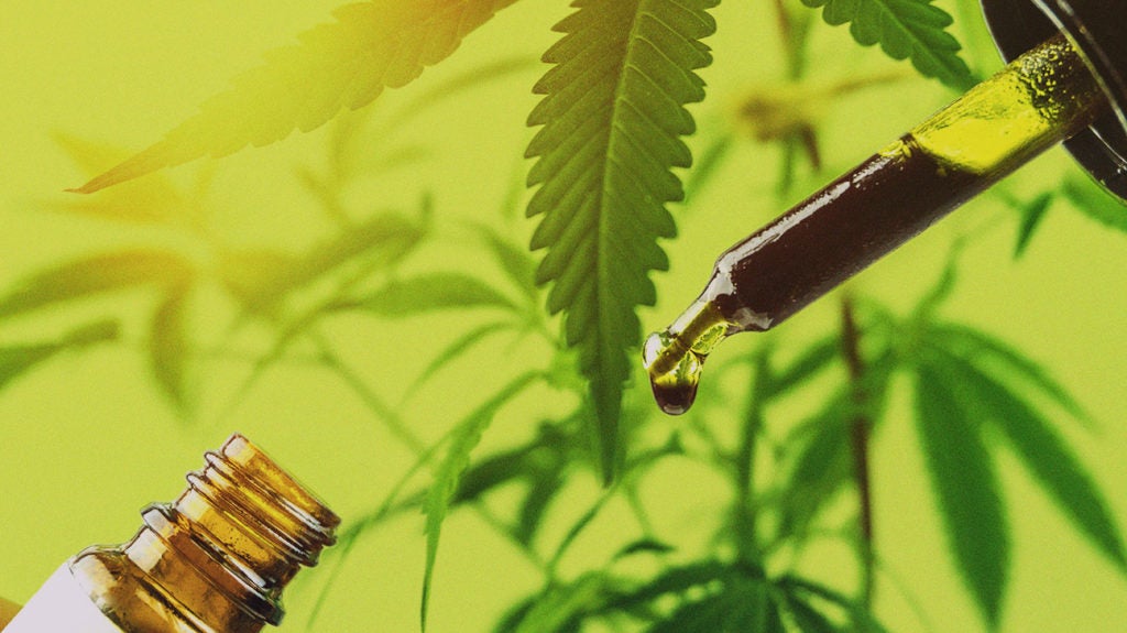 CBD Concentrate: Effects, Benefits, And What To Know