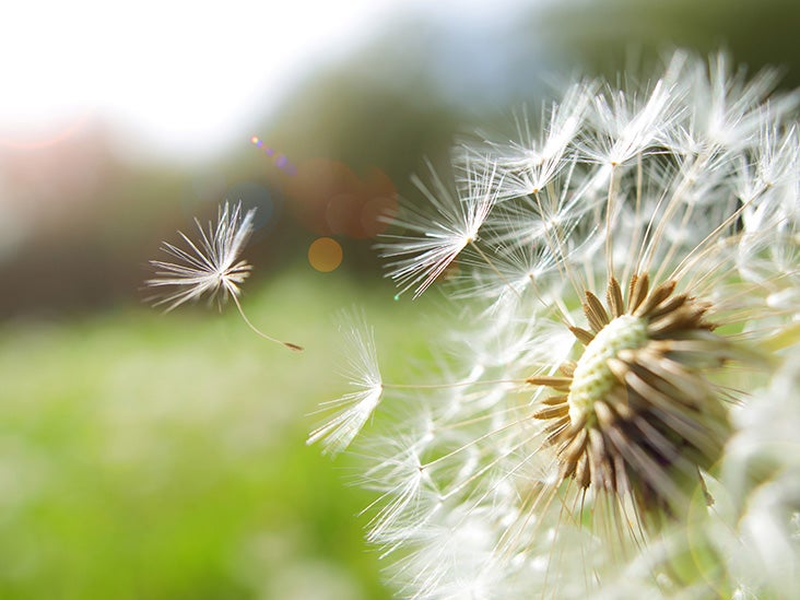 Can Pollen Cause A Hay Fever Rash Symptoms And Remedies