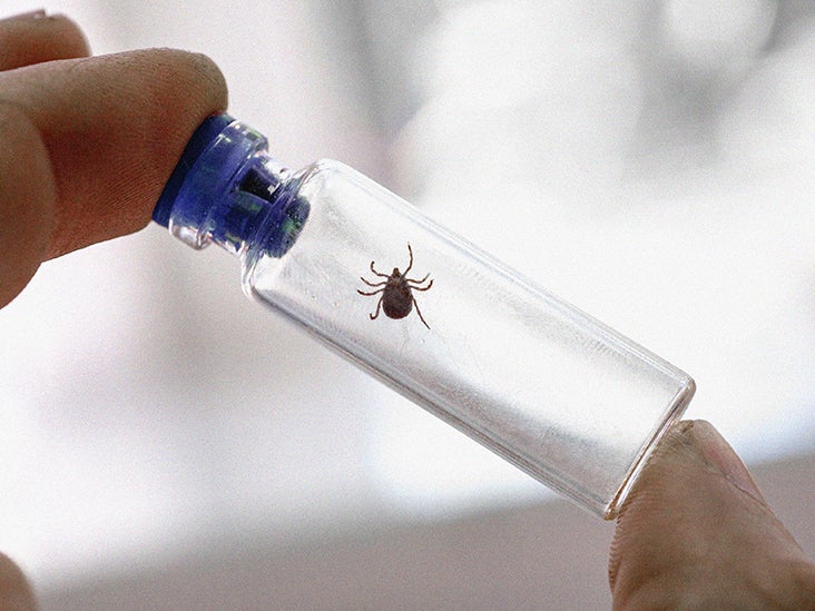 Powassan virus Definition, symptoms, location, and treatment