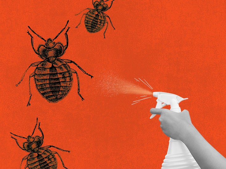 Spray deals for bugs