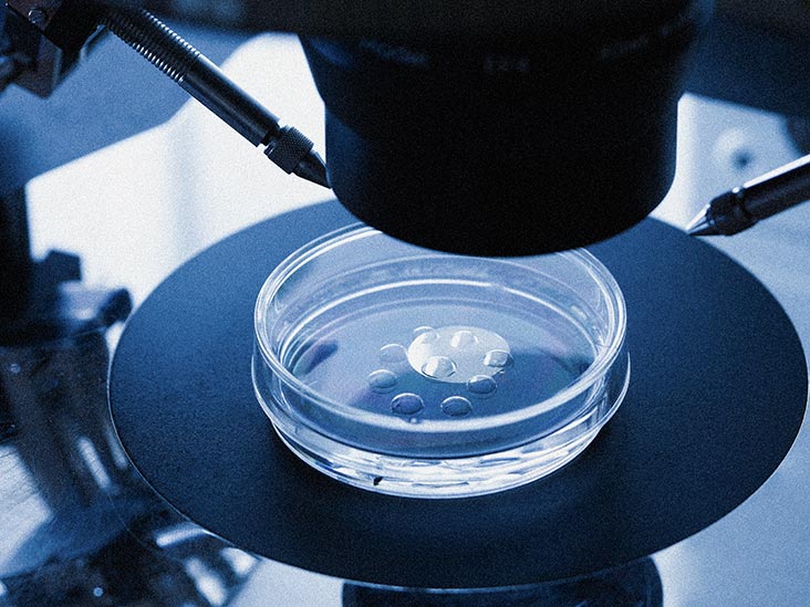 A diagram depicting in vivo and in vitro testing.