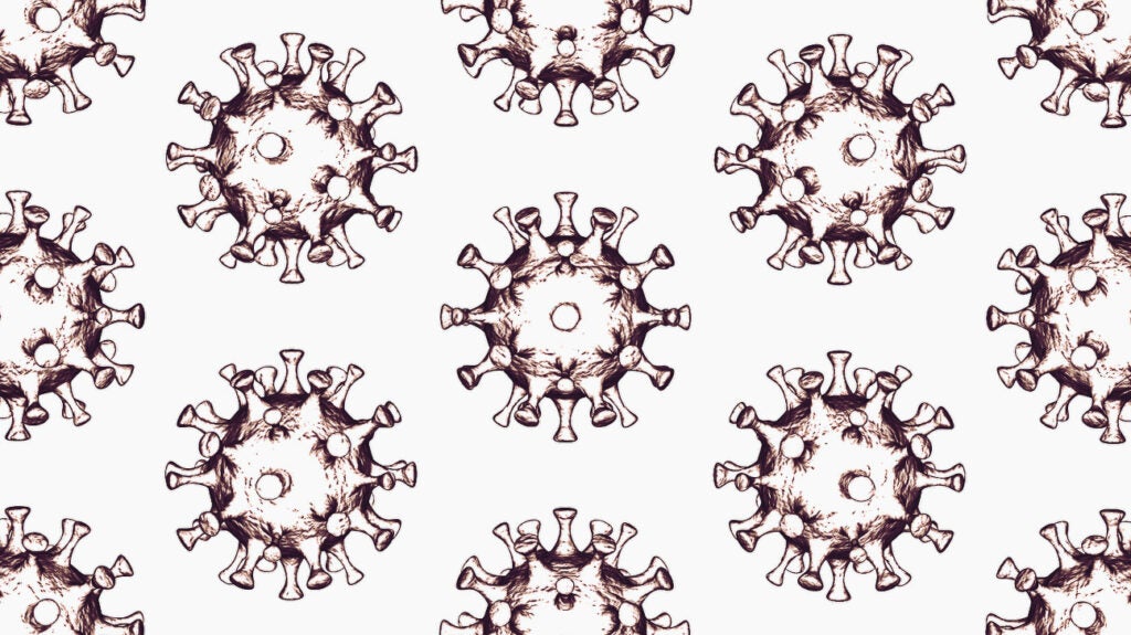 Why is it called coronavirus? What the names mean