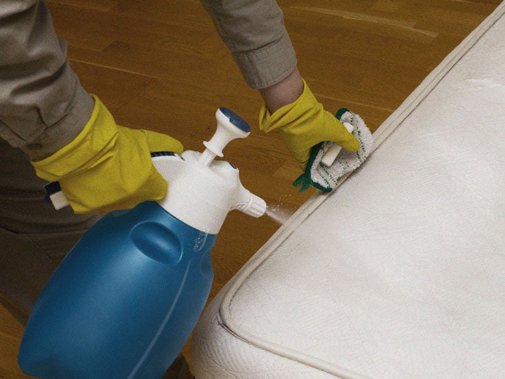 STAIN MATTRESS? Carpet Extractor DEEP CLEANING 