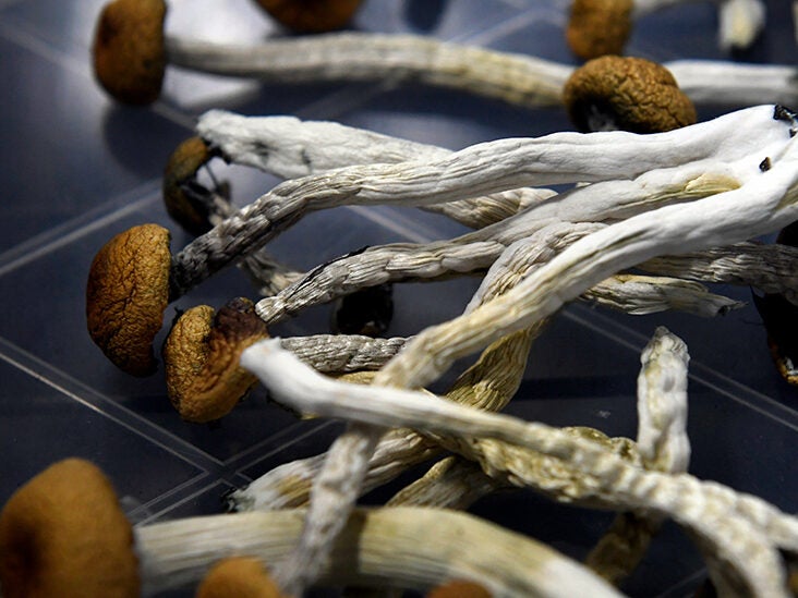 Exploring The Benefits Of Dried Magic Mushrooms - Barrels Of Hope