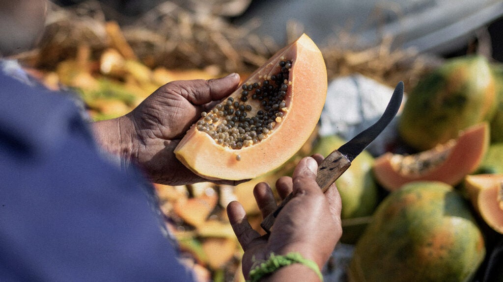 Are papayas good for weight loss