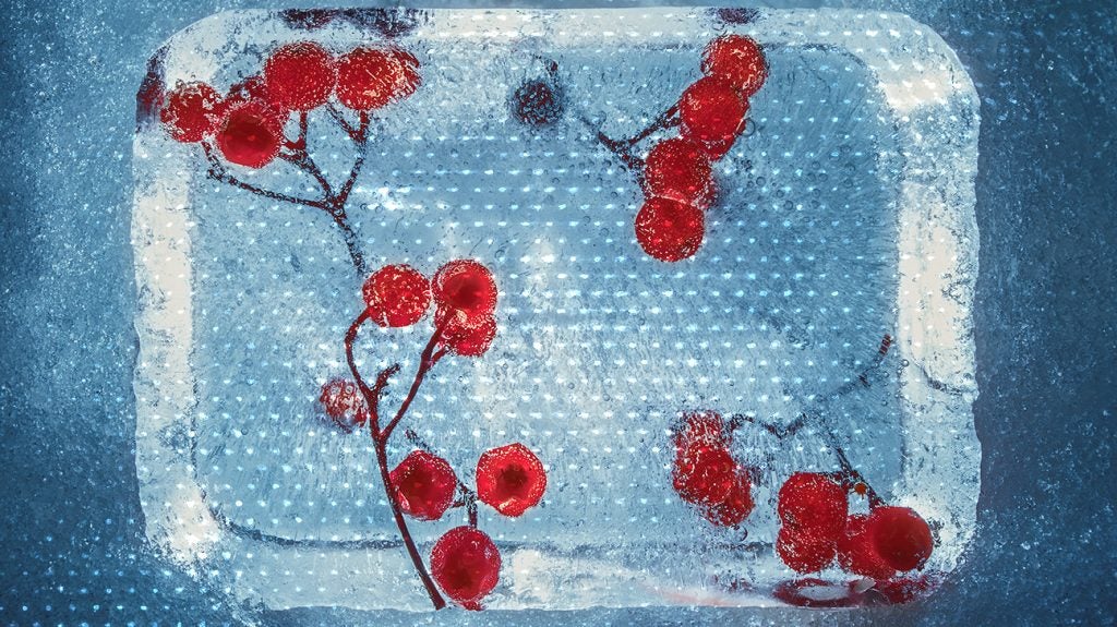 5 benefits of cherries for gout, sleep, nutrition, and more