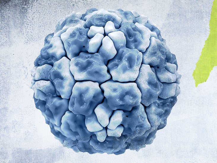 Could a common cold virus help fight COVID19?