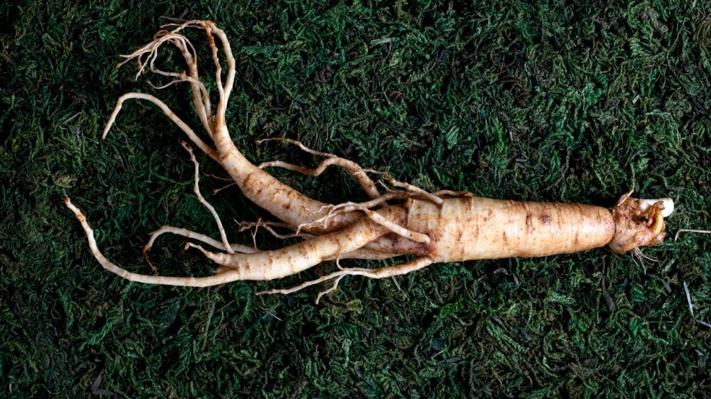 Ginseng for cognitive function