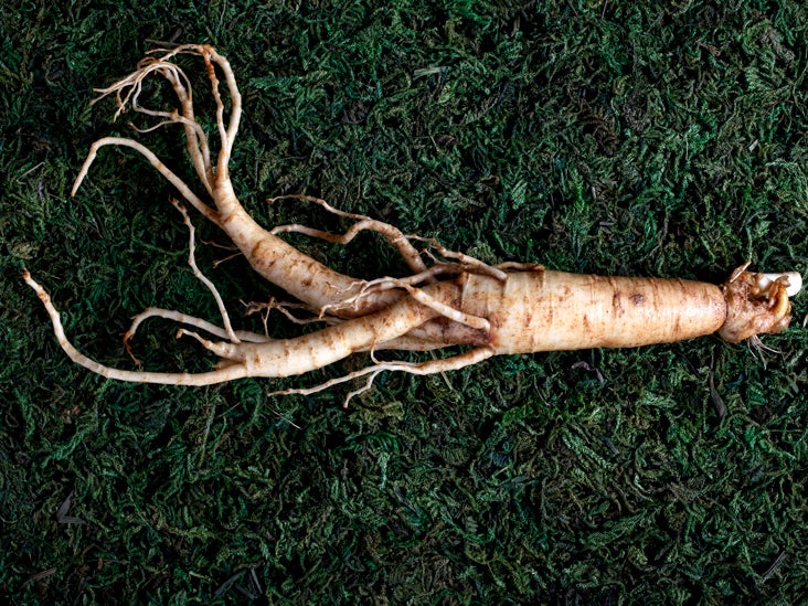 Verslaafd sticker Geduld Ginseng: Health benefits, facts, and research