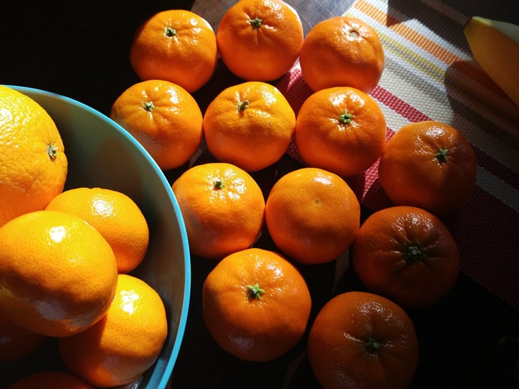 Irritable bowel syndrome (IBS) diets and how to choose one