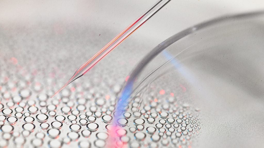 View of New device reverses type 1 diabetes in mouse models