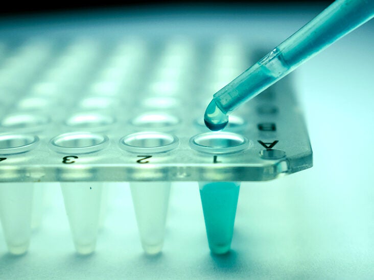 Stem cells: Sources, types, and uses