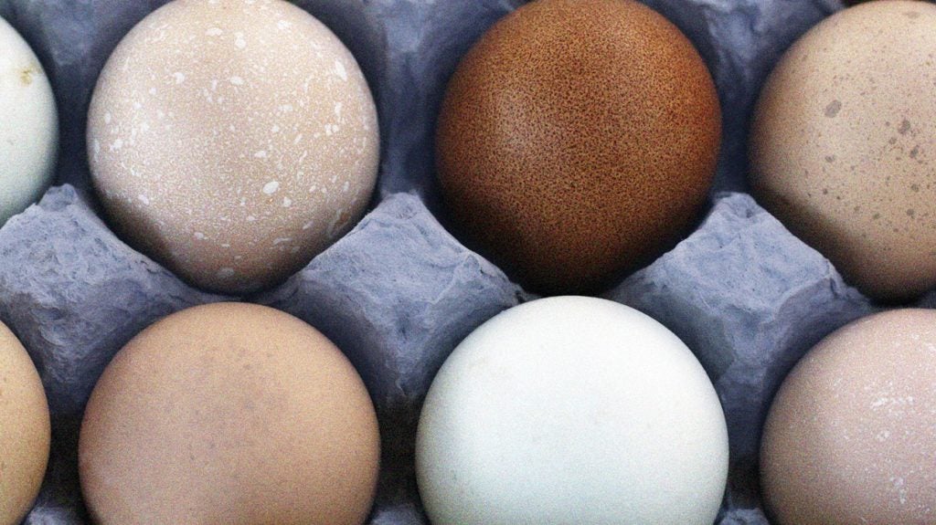 What color eggs are healthiest?