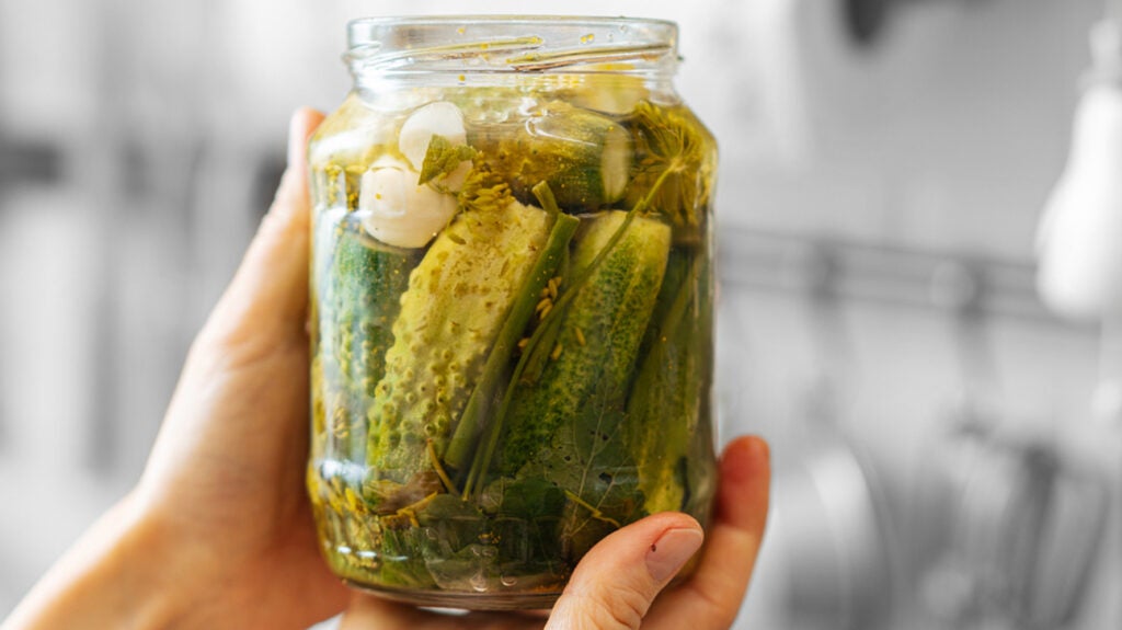 Making pickles for my GIANT pickle jar! Come see this bad boy in actio