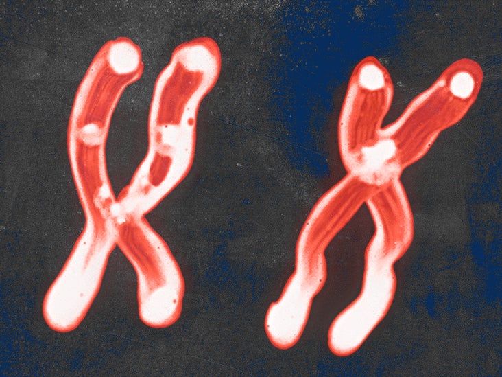 Chronic myeloid leukemia and karyotypes What to know