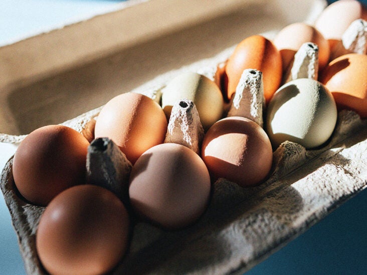Can You Feed Dogs Expired Eggs