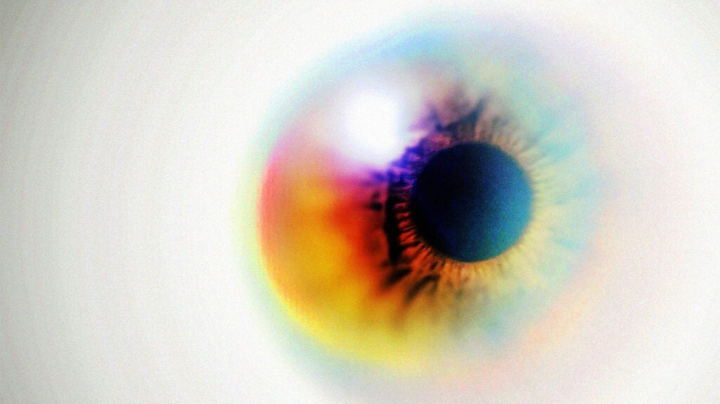How the Eyes Work  National Eye Institute