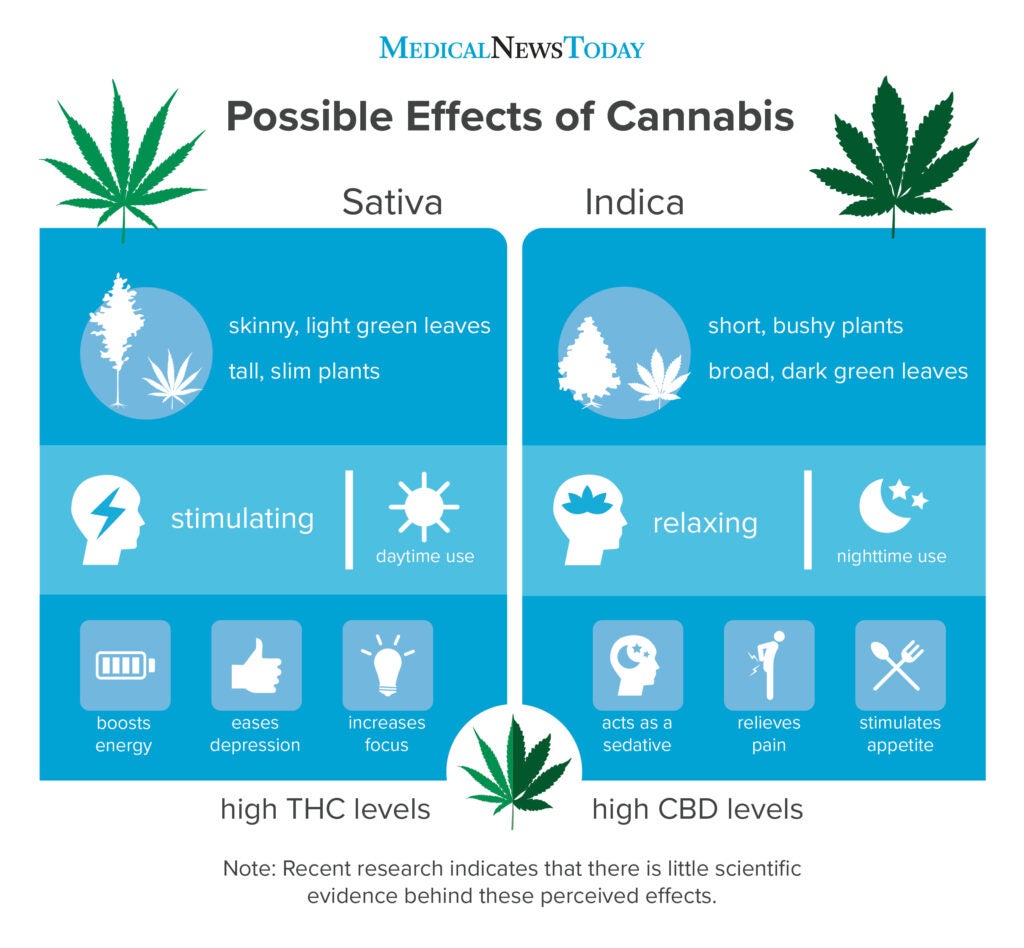 Indica vs. sativa What's the difference?