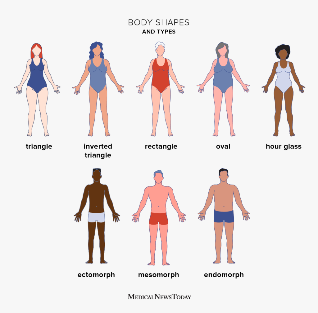 Different body types (somatotypes) (A) Ectomorph, (B) mesomorph