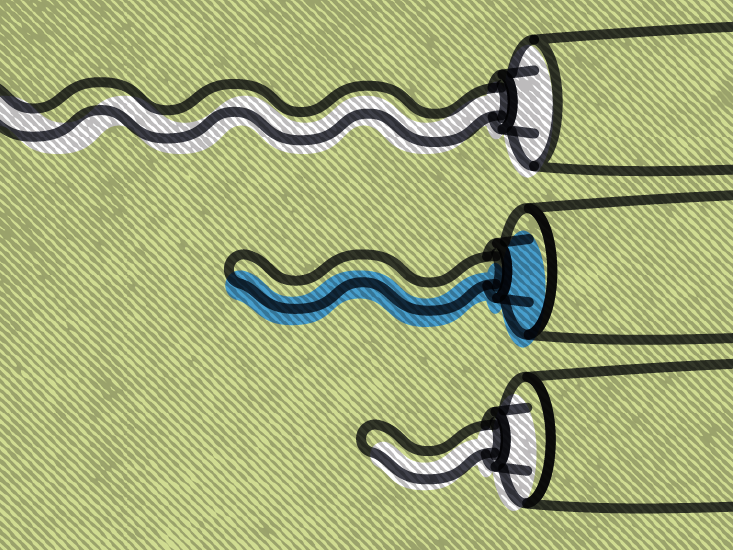 Eucrisa dosage Form, strength, how to use, and more