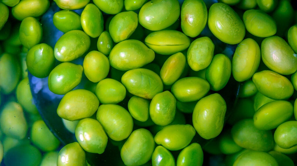 Edamame: Soybean Benefits, Protein Content, Shelling