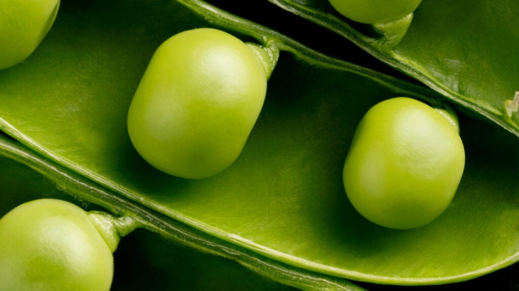 Peas: Nutrition, Benefits, Types, And More