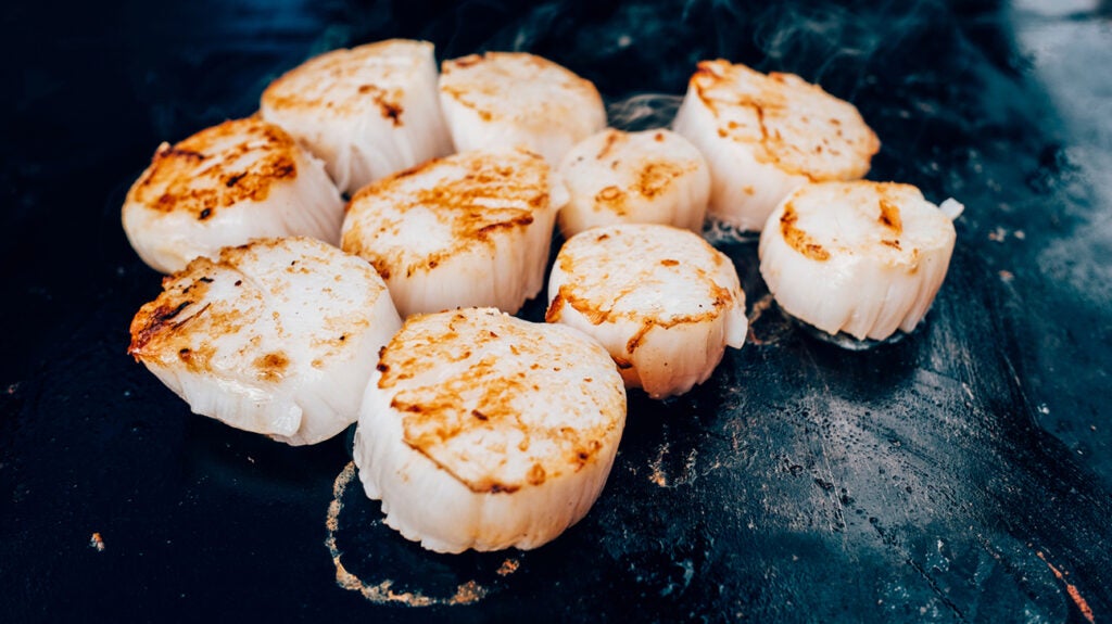 Scallops Cholesterol levels nutrient profile recipes