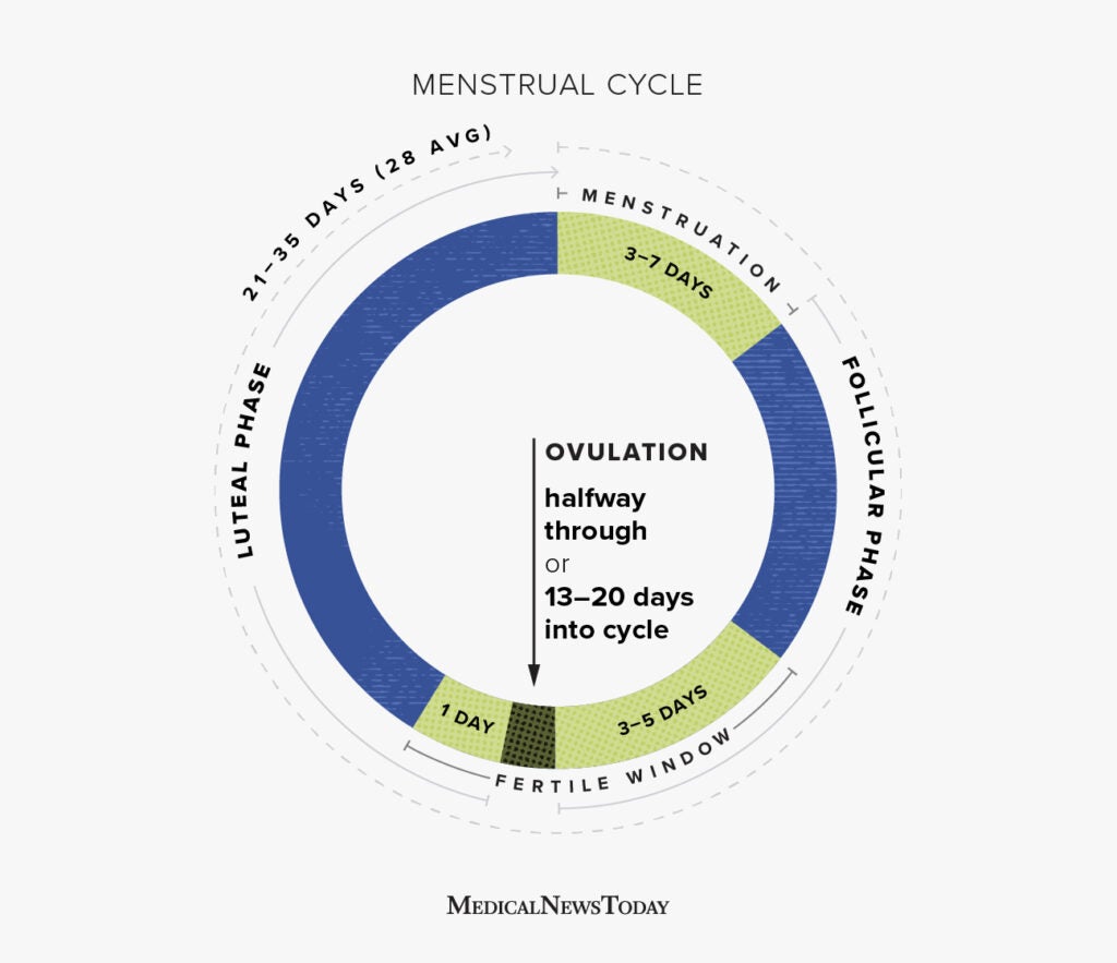 Menstruation: Periods, the menstrual cycle, PMS, and treatment