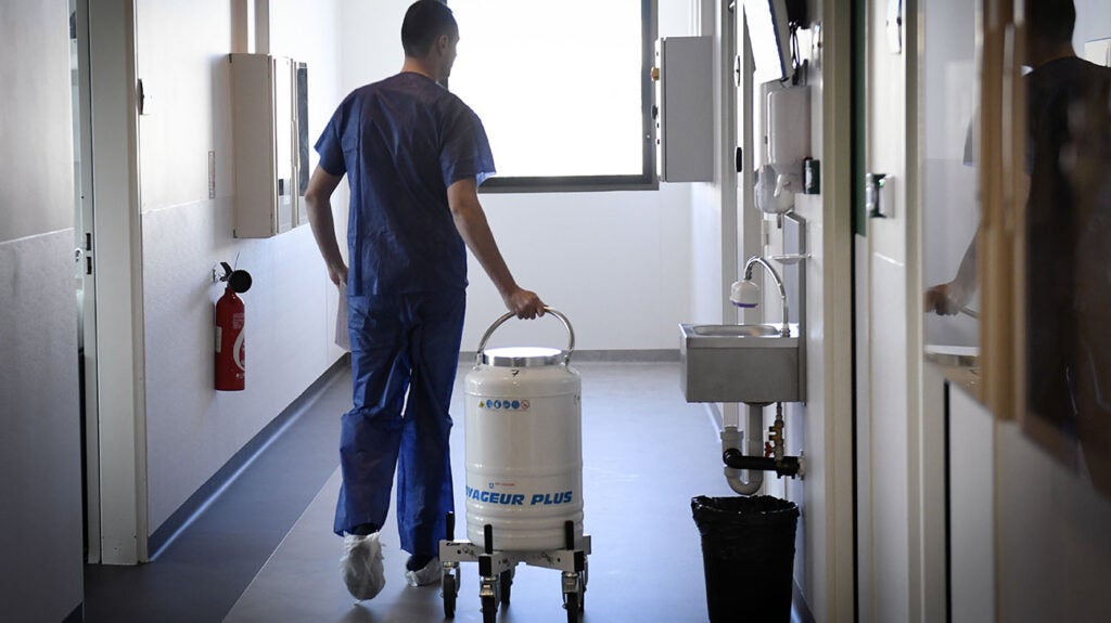 Multiple Myeloma FDA Approves Cilta cel