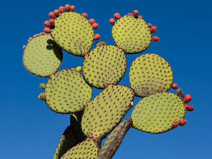 cactus juice in eye