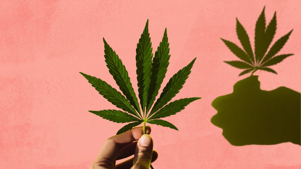 顧客レビューとブランドの評判