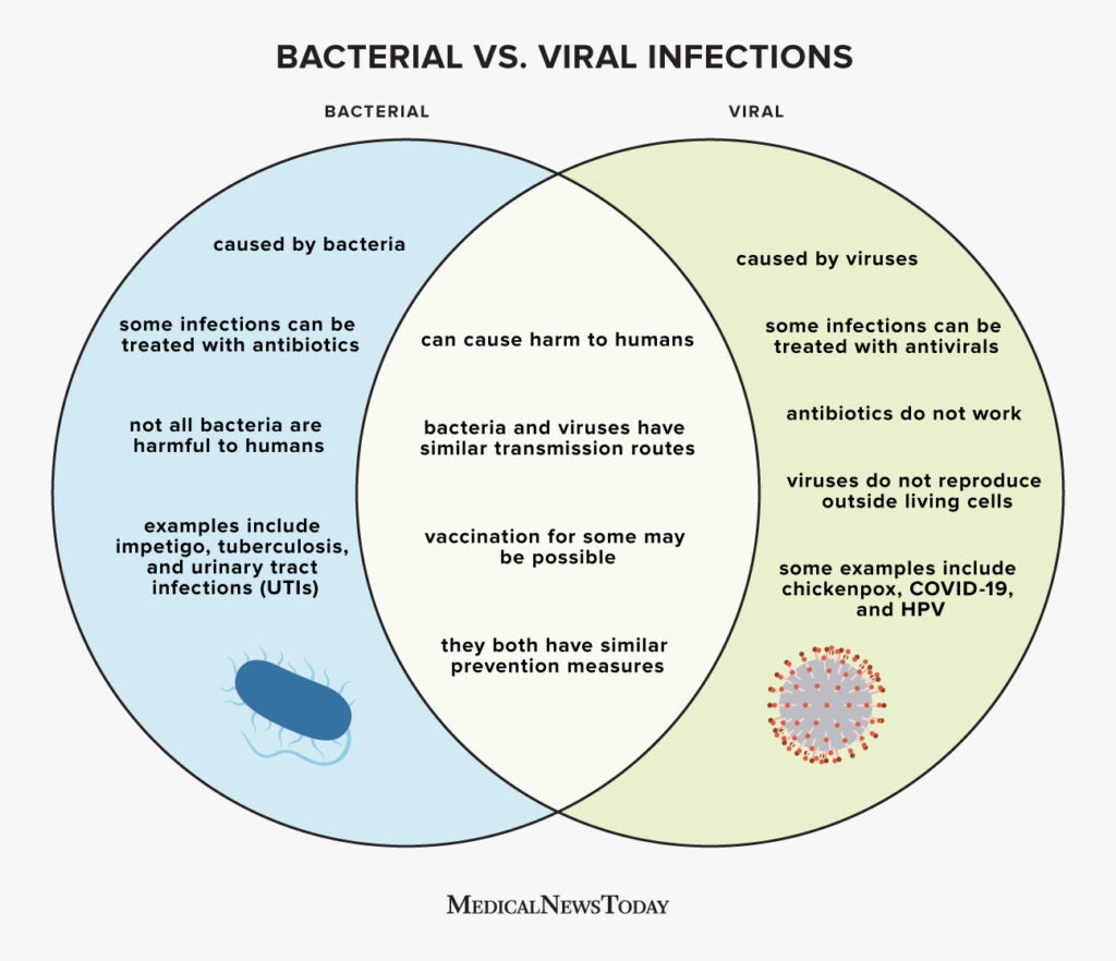 What Is The Difference Between Bacterial And Viral Infections?