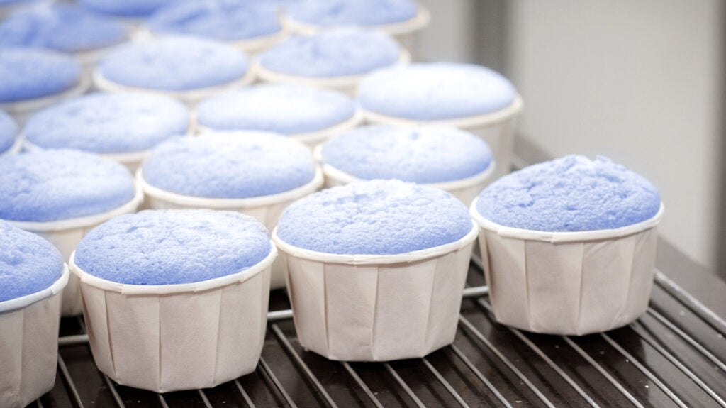 Blue poop challenge Blue muffin recipe, how it works, and more