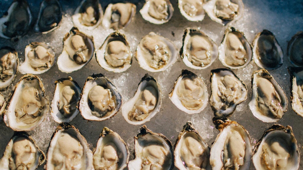 Are oysters really an aphrodisiac