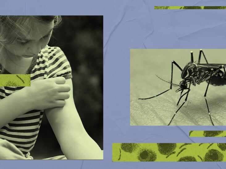 malaria symptom crossword clue