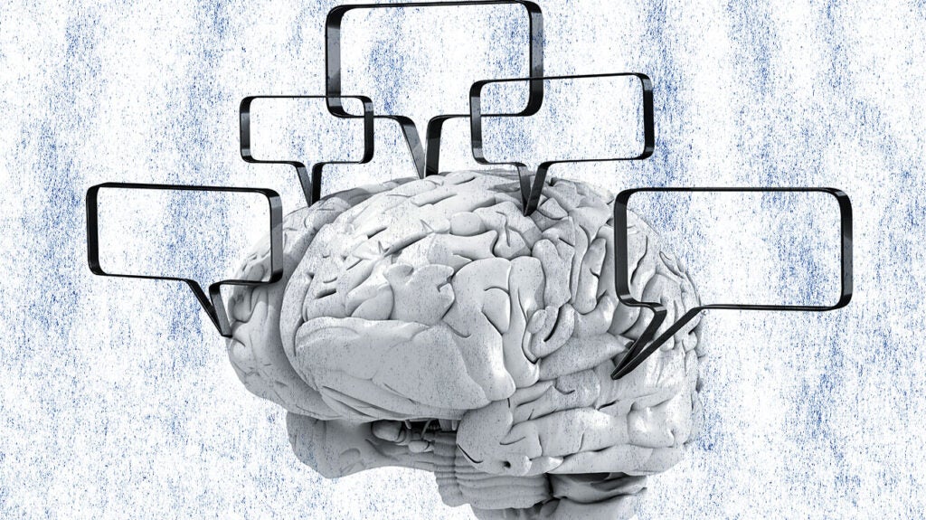 The brain and memory: Understanding how the brain thinks