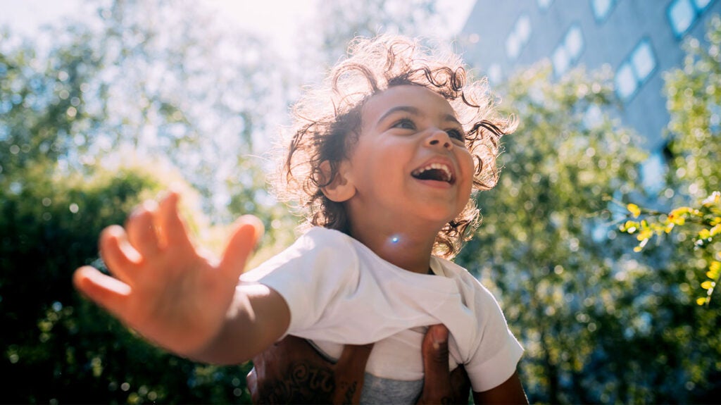 Mood What happens in the brain after exposure to different lights?