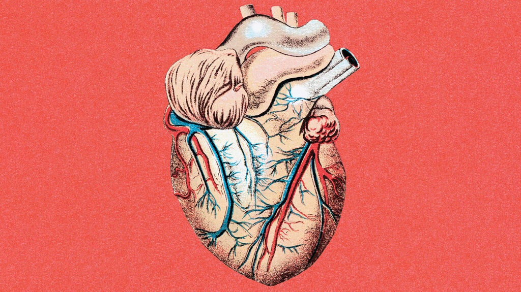 Valvular Heart Disease Symptoms Causes And Risk Factors